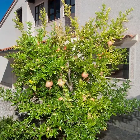 Apartments Anci Mali Lošinj Exterior foto