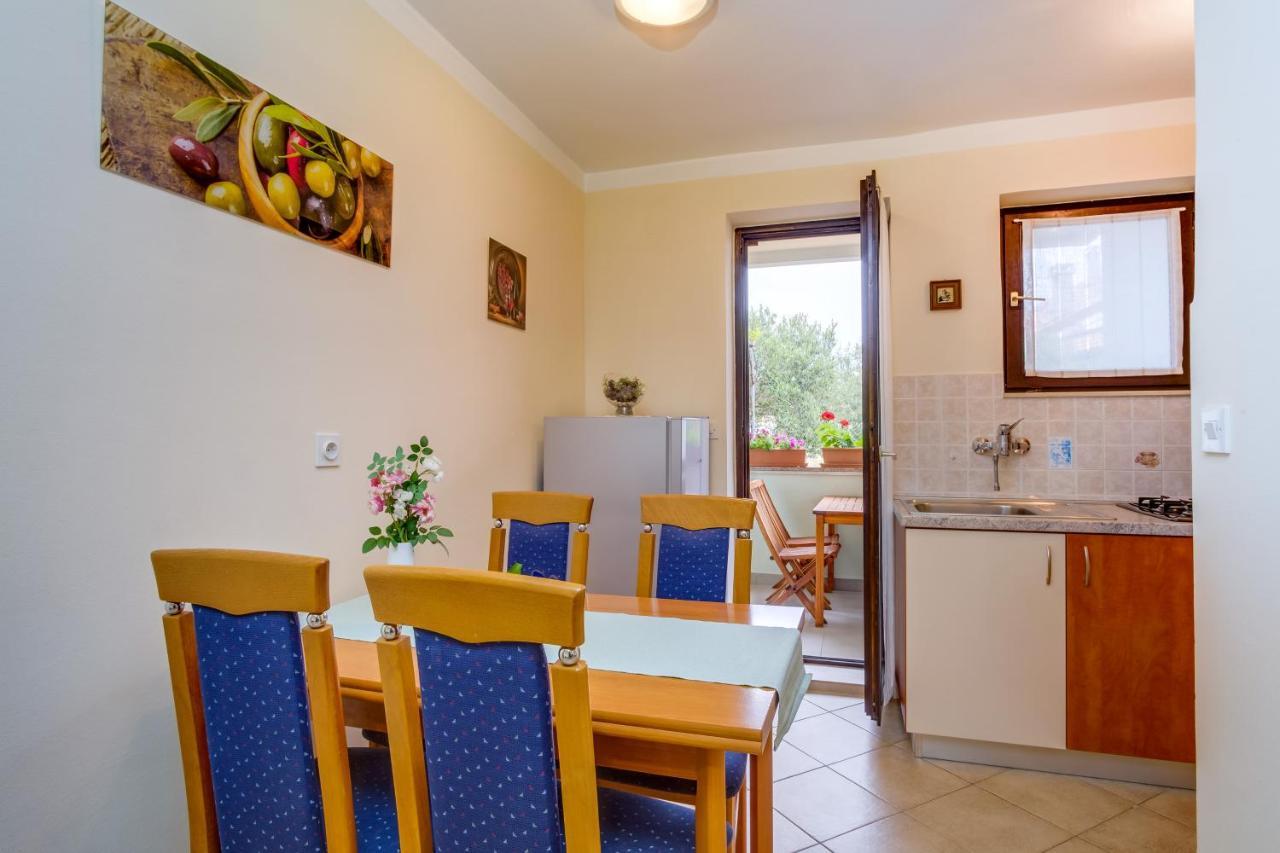 Apartment Anci *