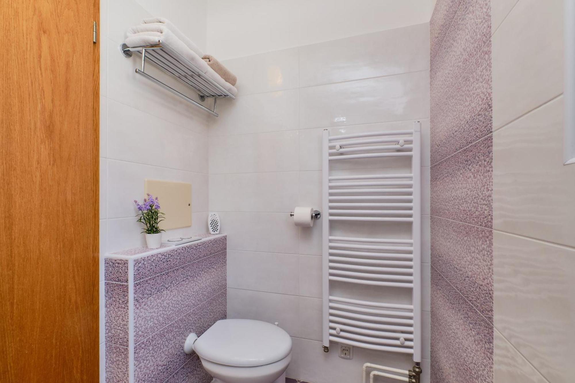Apartment Anci *