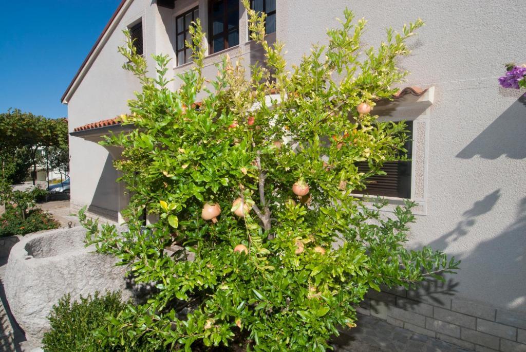 Apartment Anci Mali Losinj