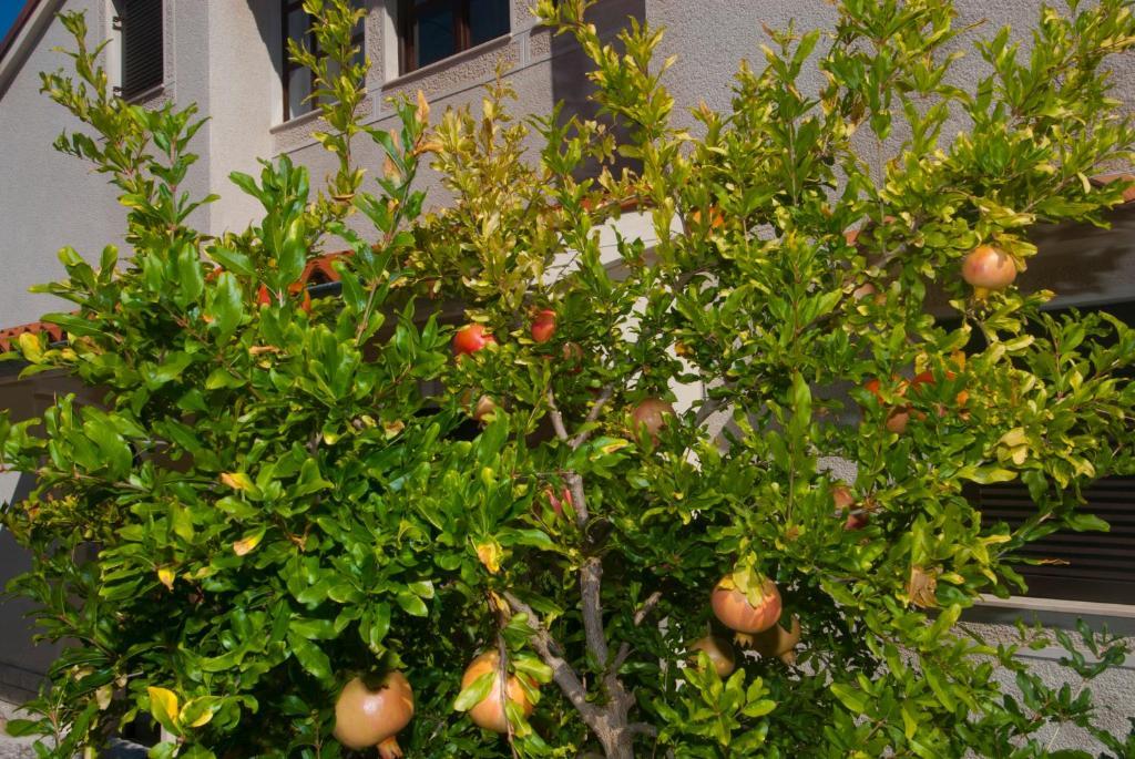Anci Apartment Mali Losinj